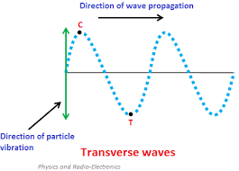 Solved The Vibrations Of A Transverse Wave Move In A